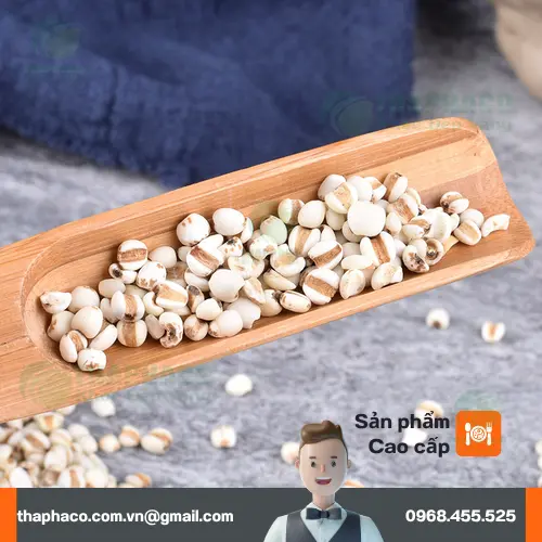 Ý Dĩ đã được làm sạch và đóng gói cẩn thận