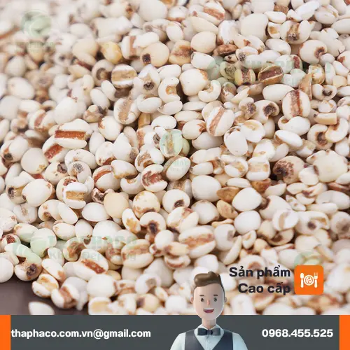 Chè ý dĩ hạt sen thanh mát bổ dưỡng