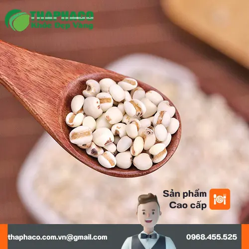 Chè ý dĩ đậu xanh – Món ngon bổ dưỡng hỗ trợ tăng cân