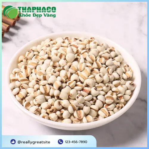 Ý Dĩ và trà mát gan - bộ đôi hoàn hảo cho sức khỏe