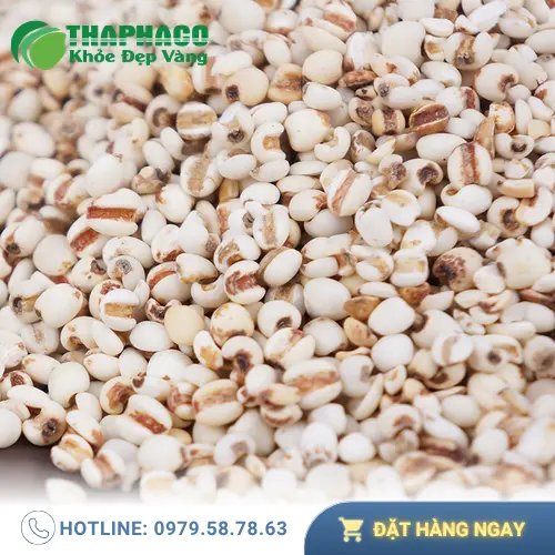 Hướng dẫn bảo quản ý dĩ để giữ trọn dinh dưỡng và hương vị.