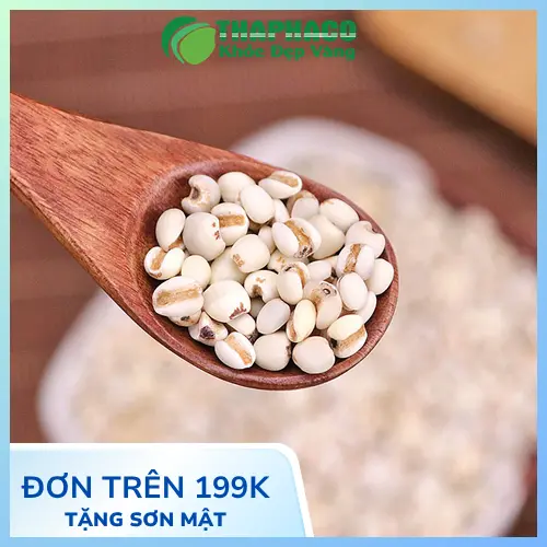 Ý dĩ được phơi khô tự nhiên dưới ánh nắng mặt trời