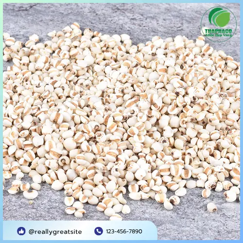 Cửa hàng Dược Liệu Tấn Phát tại TP.HCM, nơi cung cấp ý dĩ và thảo dược chất lượng.
