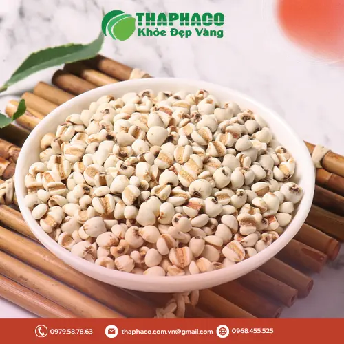 Canh gà hầm ý dĩ bổ dưỡng