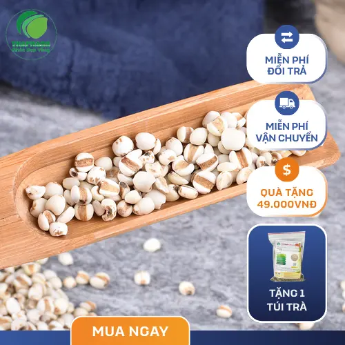 Gói ý dĩ khô đã được đóng gói cẩn thận của Dược Liệu Tấn Phát