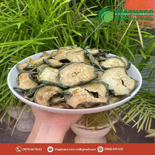 Lựa chọn và thu hoạch bí đao tươi ngon