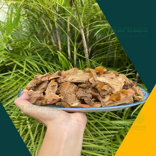 Thân rễ cẩu tích khô đã qua chế biến, sẵn sàng sử dụng