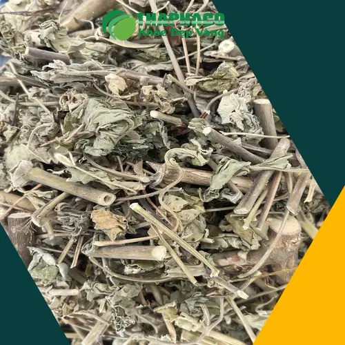 Cây cối xay khô Dược Liệu Tấn Phát đảm bảo chất lượng
