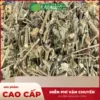Địa chỉ bán Cây Cối Xay sấy khô tại TP.HCM uy tín