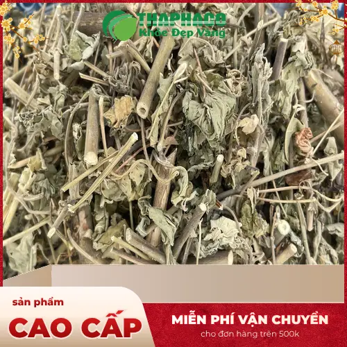 Địa chỉ bán Cây Cối Xay sấy khô tại TP.HCM uy tín