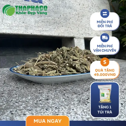 Cây cối xay khô nguyên chất từ Dược Liệu Tấn Phát