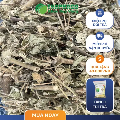 Khuyến mãi hấp dẫn khi mua cây cối xay sấy khô tại TP.HCM