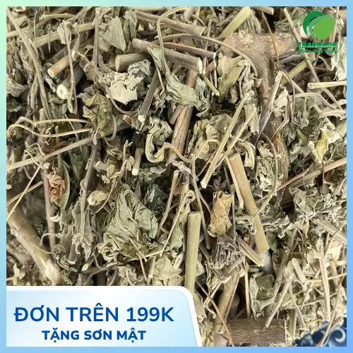 Quy trình sấy khô cây cối xay hiện đại, giữ trọn vẹn dưỡng chất