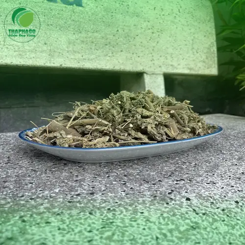 Cửa hàng Dược Liệu Tấn Phát - Địa chỉ bán cây cối xay sấy khô uy tín tại TP.HCM