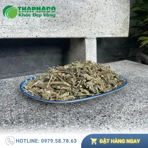 Hướng dẫn sử dụng cây cối xay sấy khô pha trà