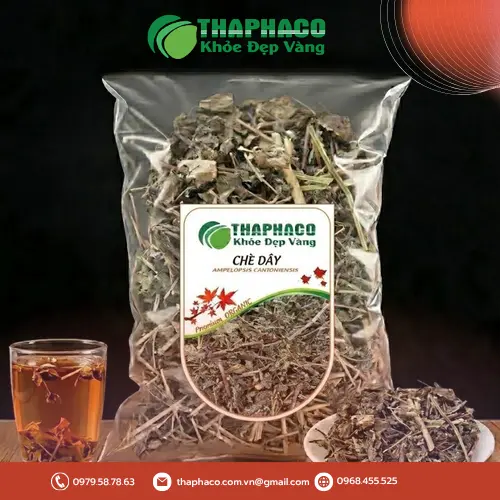 Hình ảnh cây Chè Dây tươi và Chè Dây sấy khô chất lượng