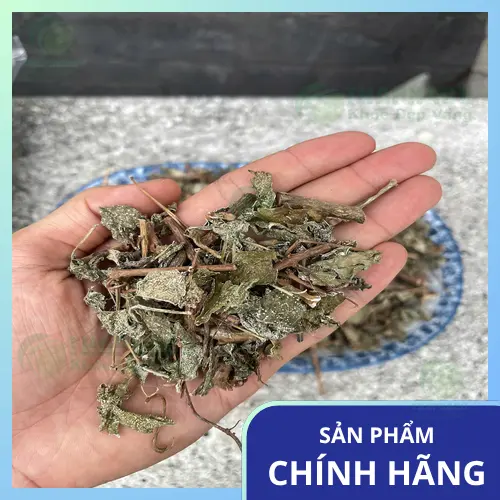 Dấu hiệu chè dây khô bị ẩm mốc