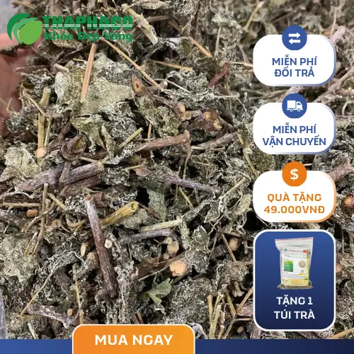Lợi ích của trà dây đối với sức khỏe