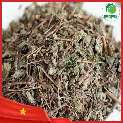 Quy trình sản xuất chè dây khô tại THAPHACO đảm bảo chất lượng