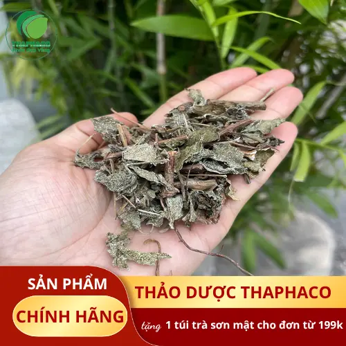 Công dụng hỗ trợ tiêu hóa của Chè Dây sấy khô