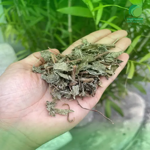 Thành phần hóa học trong chè dây