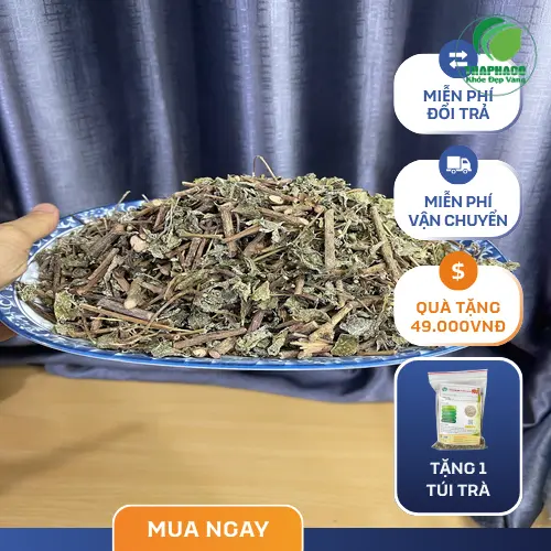 Hướng dẫn bảo quản chè dây khô