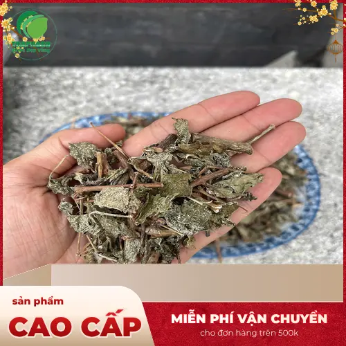 Địa chỉ mua Chè Dây Sấy Khô THAPHACO