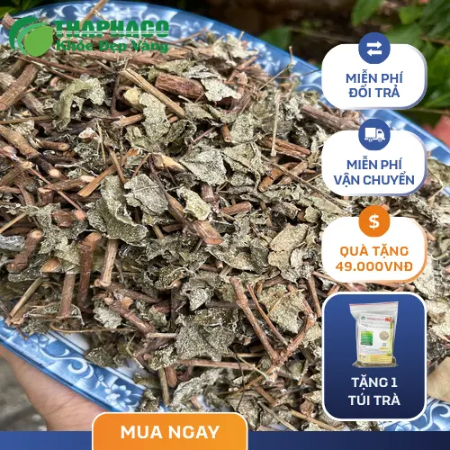 Mua chè dây loại 1 tại THAPHACO đảm bảo uy tín chất lượng