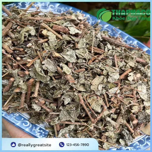 Sản phẩm Chè Dây sấy khô chất lượng từ THAPHACO