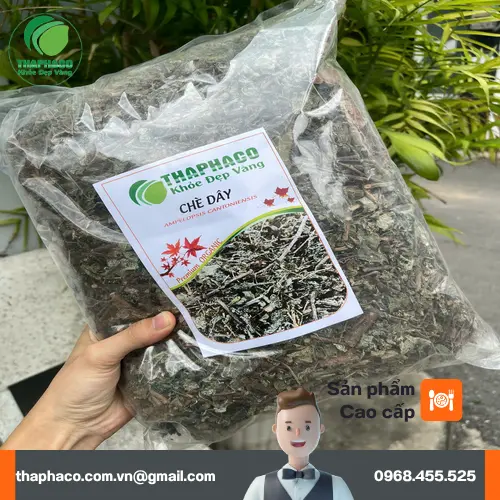 Lưu ý khi sử dụng chè dây khô