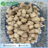 Giá 1kg Củ Tam Thất Nam Tại TP.HCM? Cập Nhật Giá 2024