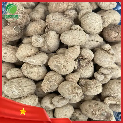 Quy trình sơ chế và đóng gói củ tam thất nam sấy khô tại Dược Liệu Tấn Phát