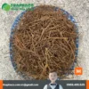 1kg Dây Tơ Hồng Giá Bao Nhiêu? Giá Trị Từ Tấn Phát