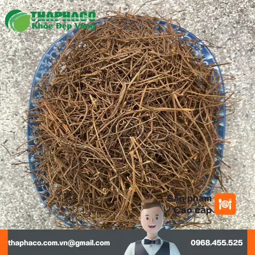 Dây Tơ Hồng chất lượng cao của Dược Liệu Tấn Phát