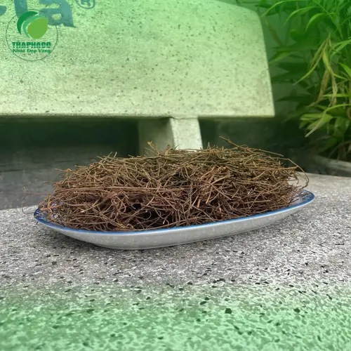 Chỗ Bán Sỉ Dây Tơ Hồng Tại TP.HCM - Dược Liệu Tấn Phát