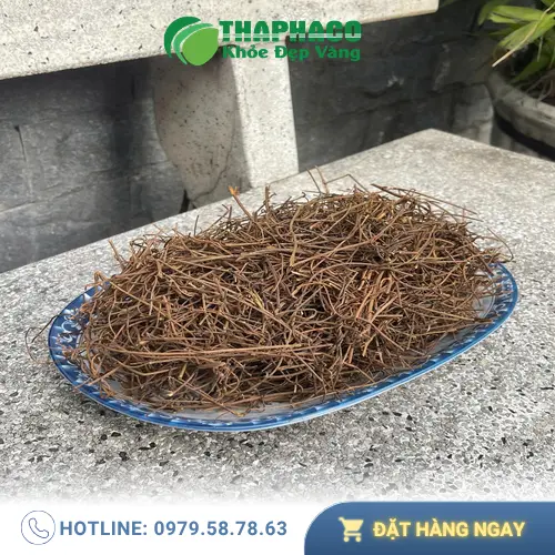 Hình ảnh dây tơ hồng tự nhiên và hạt thỏ ty tử