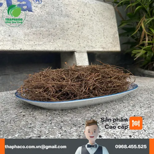 Dây tơ hồng khô chất lượng cao