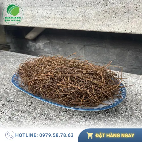 Dây tơ hồng khô cao cấp của Dược Liệu Tấn Phát