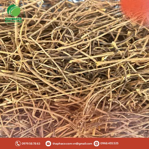 So sánh chất lượng Dây Tơ Hồng Tấn Phát với sản phẩm khác