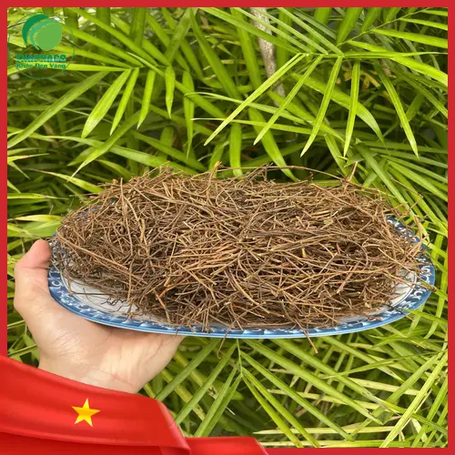 Hình ảnh dây tơ hồng khô chất lượng cao