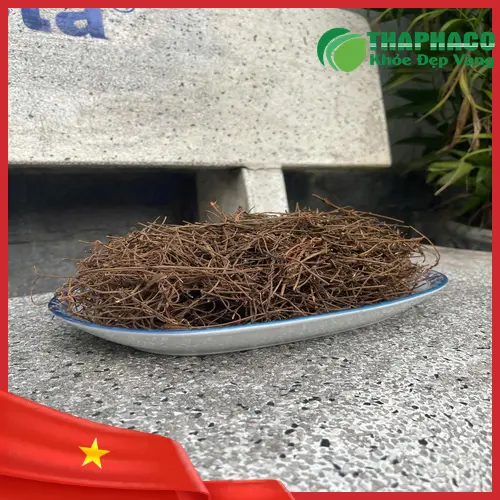 Các cách chế biến và sử dụng dây tơ hồng hiệu quả