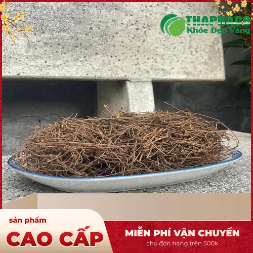 Dây tơ hồng đã qua chế biến sẵn sàng sử dụng