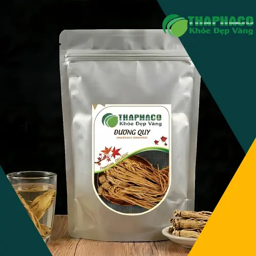 Mua Đương Quy ở đâu uy tín tại TPHCM? Dược Liệu Tấn Phát