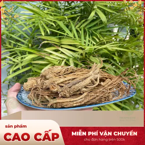 Đương Quy hữu cơ với màu sắc và hương thơm tự nhiên