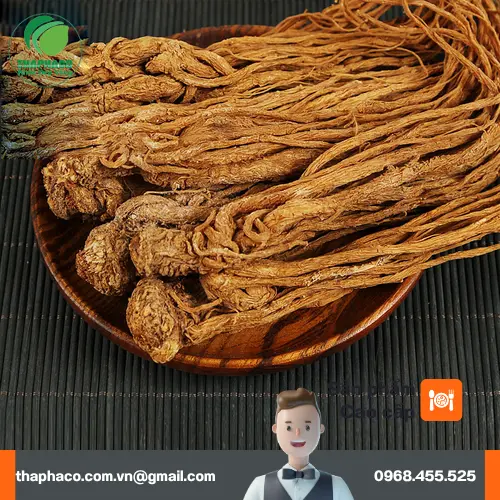 Đương Quy đóng gói cẩn thận của Dược Liệu Tấn Phát