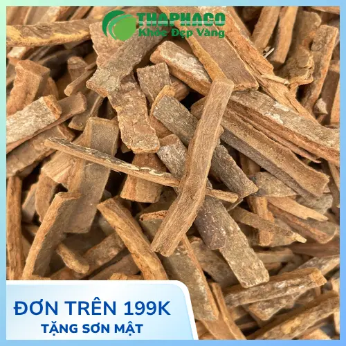 Mua sỉ Hậu Phác Khô uy tín ở đâu? Tấn Phát là lựa chọn số 1