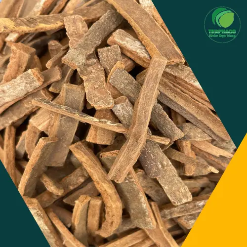 1kg Hậu Phác Khô Giá Bao Nhiêu Tiền Tại Dược Liệu Tấn Phát?