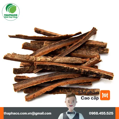 Sản phẩm hậu phác khô chất lượng cao tại Dược Liệu Tấn Phát