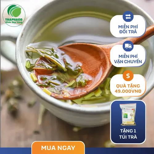 Mua Ích Mẫu Khô Ở Đâu Uy Tín? Đánh Giá Dược Liệu Tấn Phát