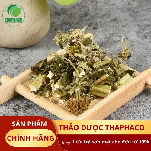 Mua Ích Mẫu Khô Ở Đâu Uy Tín? Dược Liệu Tấn Phát Cao Cấp